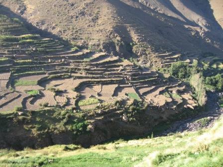 tacheddirt via tizi-n' tacheddirt to ourika valley